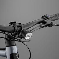RHeO 2 Bosch eCity and leisure bike