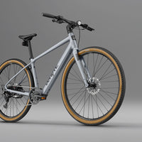 RHeO 2 Bosch eCity and leisure bike