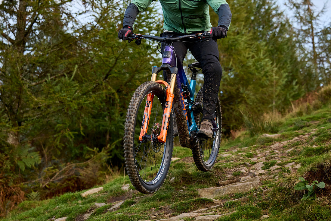 ELyte EVO Stag Works  Trail/enduro electric mountain bike