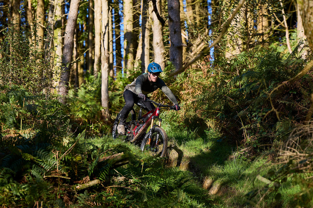 ELyte EVO Stag Works  Trail/enduro electric mountain bike