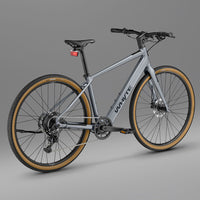 RHeO 2 Bosch eCity and leisure bike