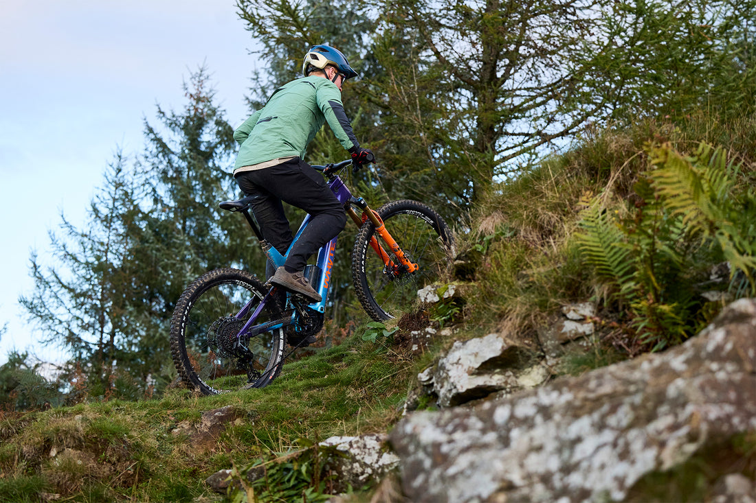 ELyte EVO Stag Works  Trail/enduro electric mountain bike