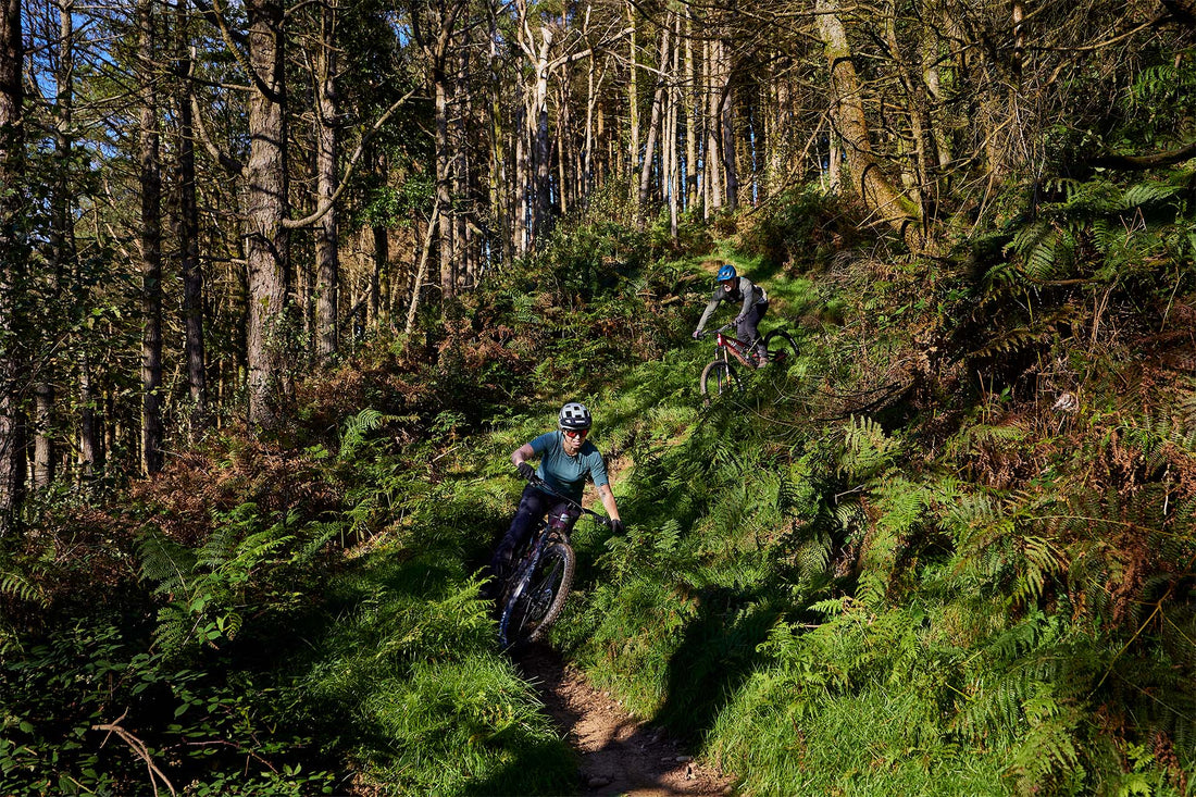 ELyte EVO Stag Works  Trail/enduro electric mountain bike
