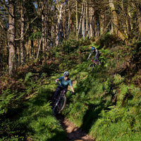 ELyte EVO Stag Works  Trail/enduro electric mountain bike