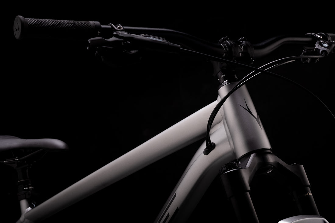 909 X Enduro Hardtail Bike