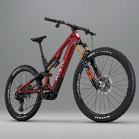 ELyte EVO Stag Works  Trail/enduro electric mountain bike