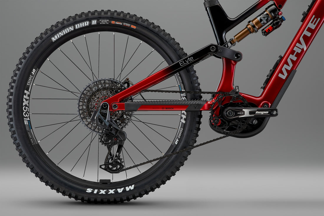 ELyte EVO Stag Works  Trail/enduro electric mountain bike