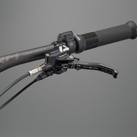 ELyte EVO Stag Works  Trail/enduro electric mountain bike