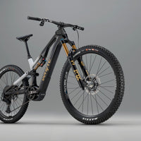 ELyte EVO Stag Works Trail/enduro electric mountain bike
