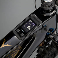 ELyte EVO Stag Works Trail/enduro electric mountain bike