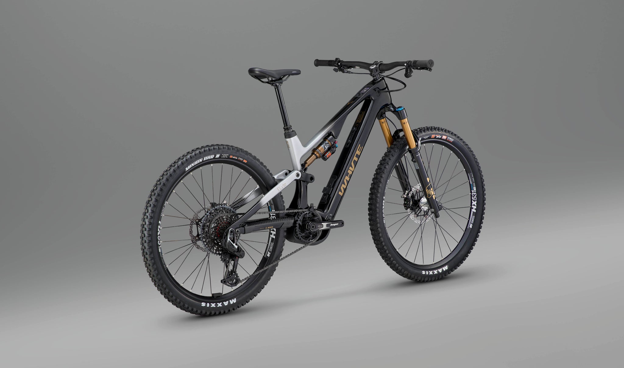 ELyte EVO Stag Works Trail/enduro electric mountain bike