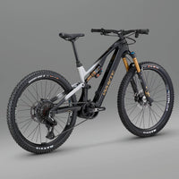ELyte EVO Stag Works Trail/enduro electric mountain bike