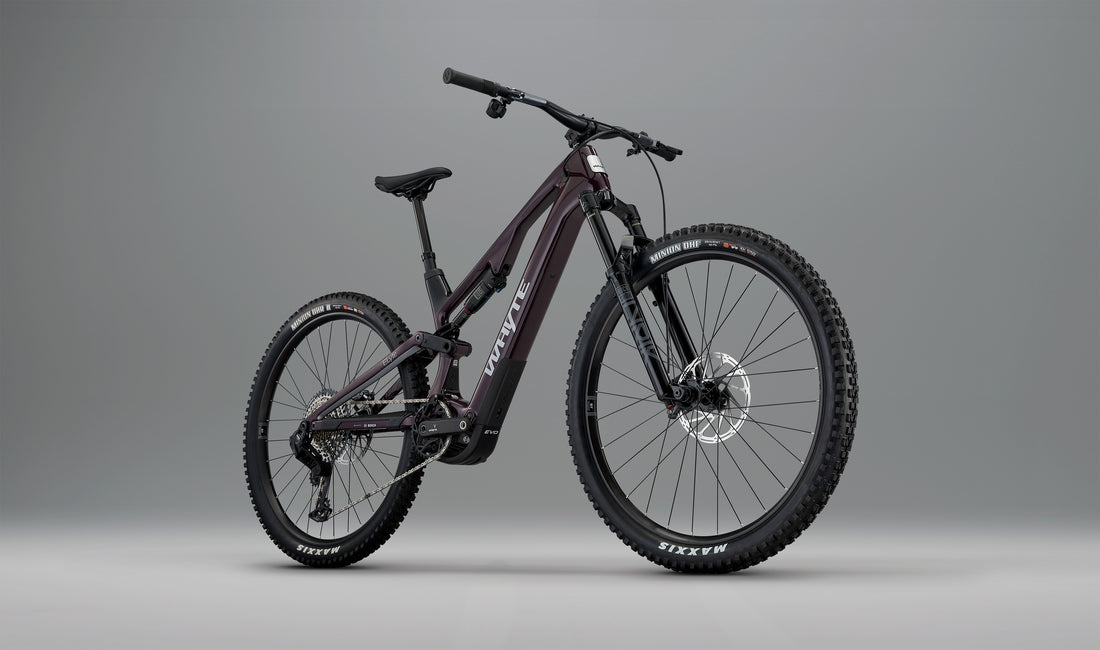 ELyte EVO RS  Trail/enduro electric mountain bike