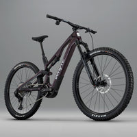 ELyte EVO RS Trail/enduro electric mountain bike