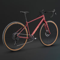 Verro adventure & rough gravel bike