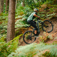 E-160 S  trail/enduro electric mountain bike