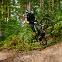 E-160 S  trail/enduro electric mountain bike