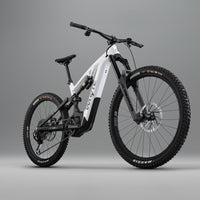 E-180 Works super e-enduro/gravity electric mountain bike