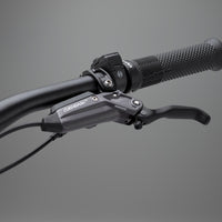 ELyte 150 RSX trail/enduro electric mountain bike