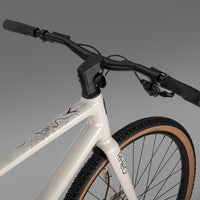 RHeO 1 city and leisure bike