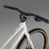 RHeO 1 ST  city and leisure bike