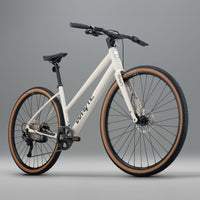 RHeO 1 ST  city and leisure bike