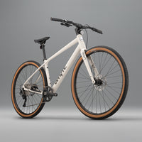 RHeO 1  city and leisure bike