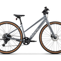 RHeO 2 ST eCity and leisure bike