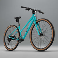 RHeO 2 ST eCity and leisure bike