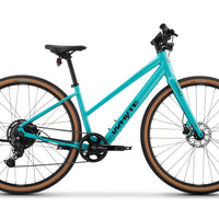 RHeO 2 ST eCity and leisure bike