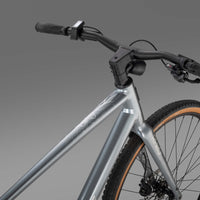 RHeO 2 eCity and leisure bike