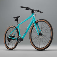 RHeO 2 eCity and leisure bike