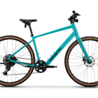 RHeO 2 eCity and leisure bike