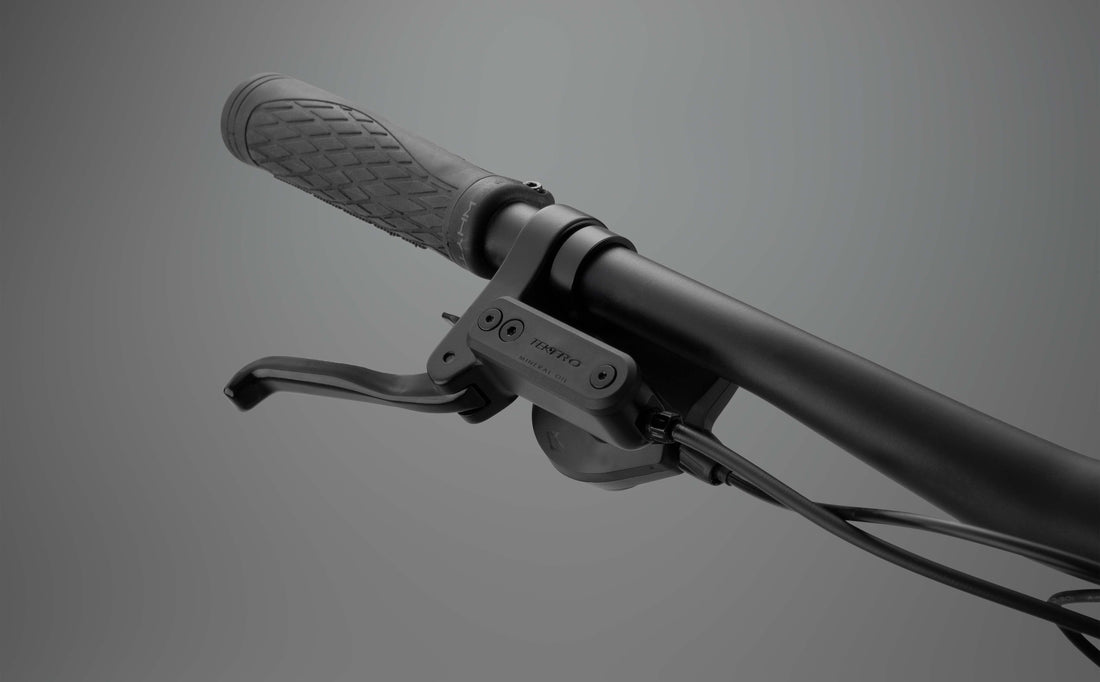 RHeO 3  eCity and leisure bike