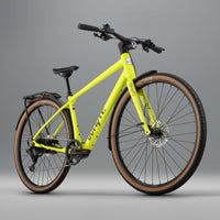 RHeO 3 eCity and leisure bike