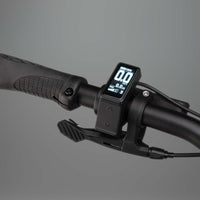 RHeO 3 ST eCity and leisure bike