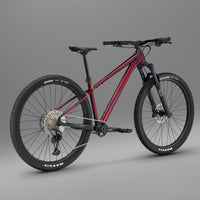 Secta RS trail mountain bike