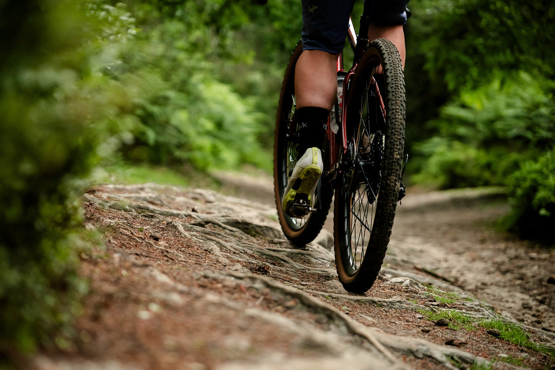 Verro  adventure & rough gravel bike