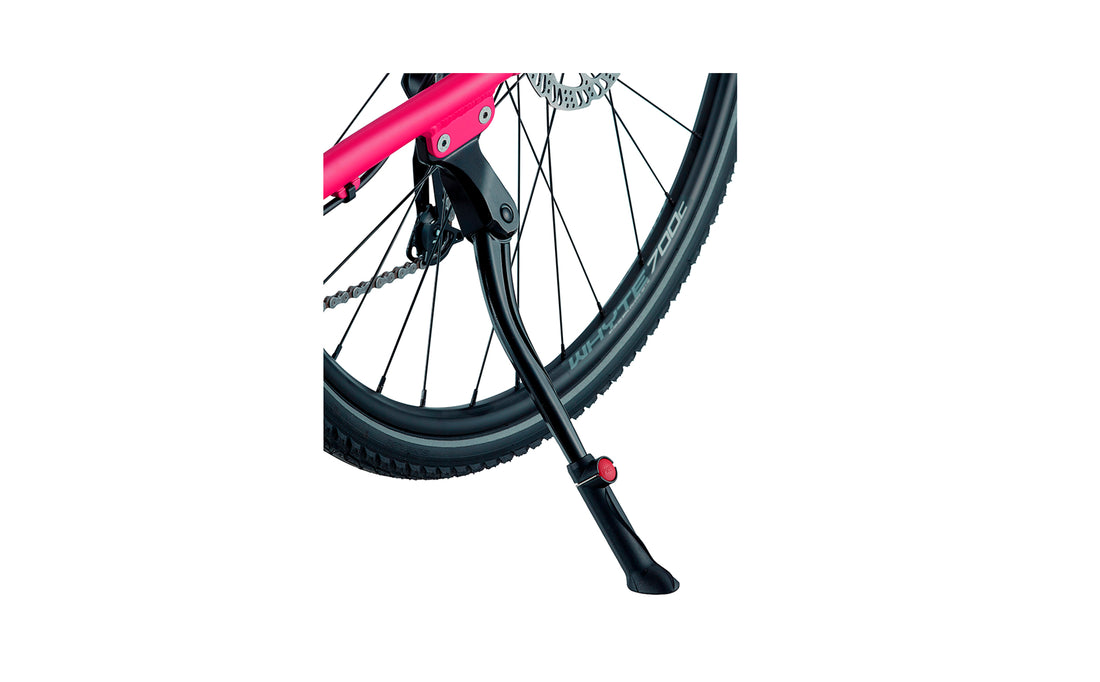 Kickstands