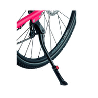 Kickstands