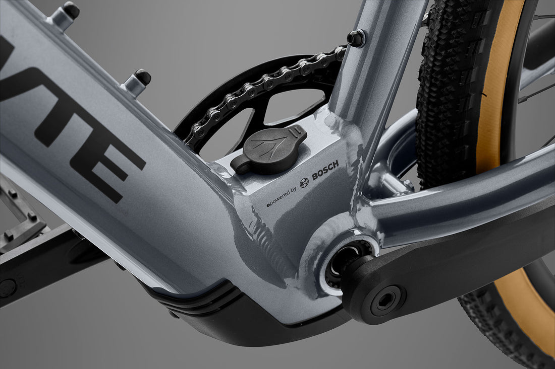 RHeO 2  Bosch eCity and leisure bike