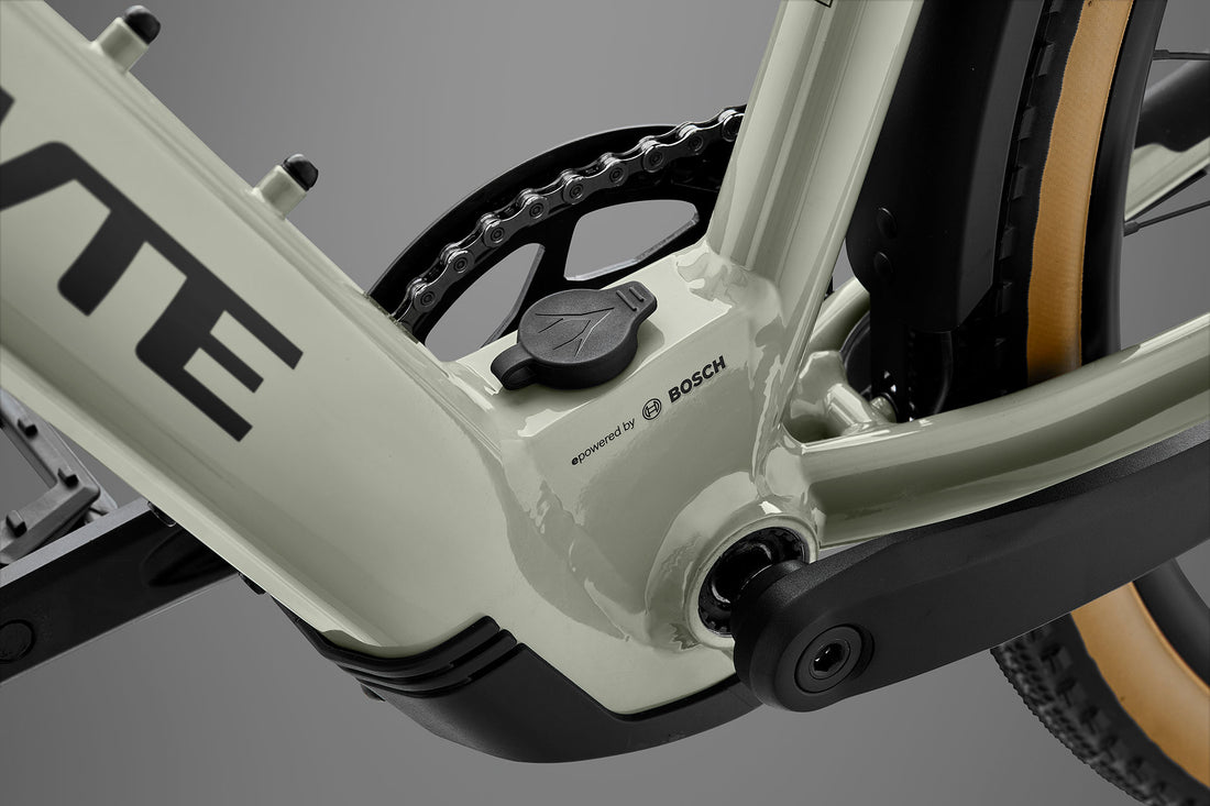 RHeO 3 ST  Bosch eCity and leisure bike