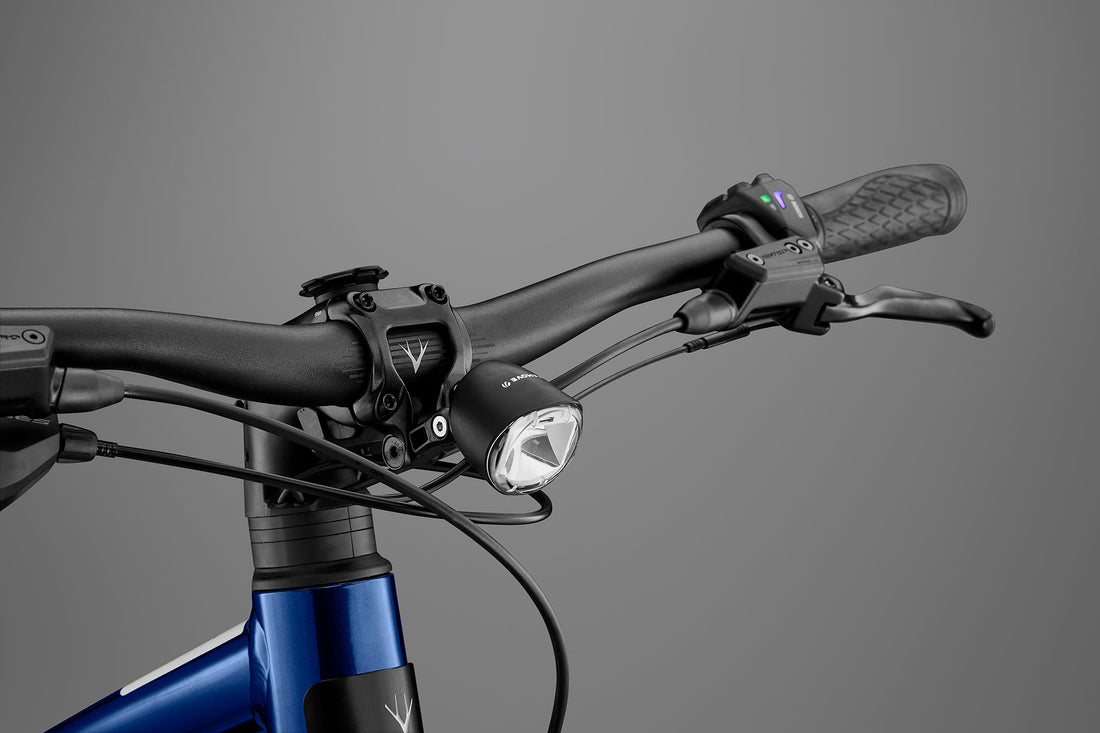 RHeO 2 ST  Bosch eCity and leisure bike