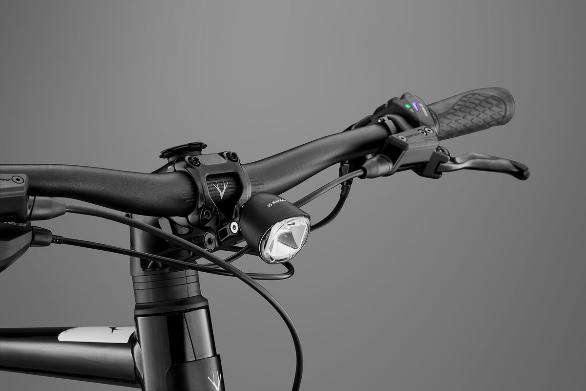 RHeO 3  Bosch eCity and leisure bike