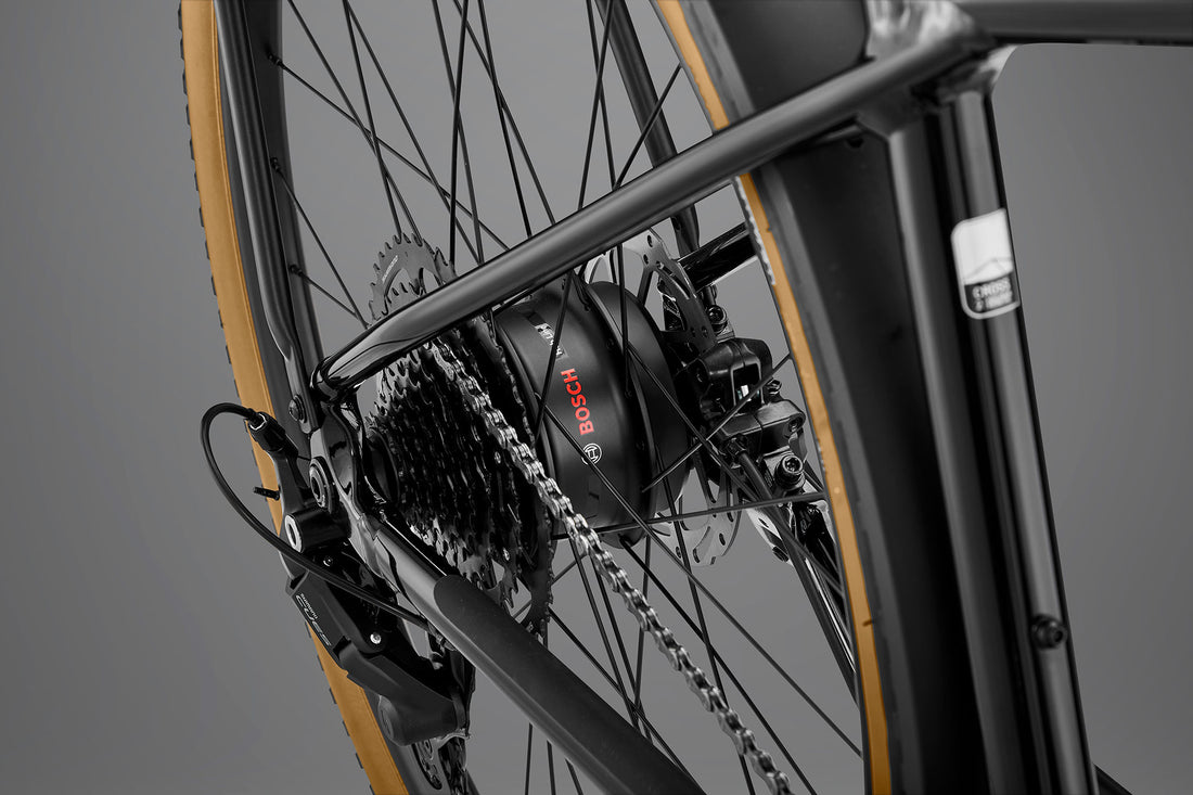RHeO 3  Bosch eCity and leisure bike