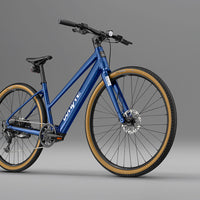 RHeO 2 ST  Bosch eCity and leisure bike