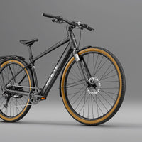RHeO 3  Bosch eCity and leisure bike