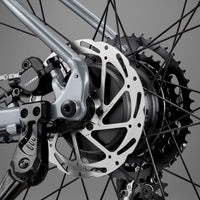 RHeO 2  Bosch eCity and leisure bike