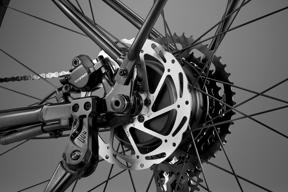 RHeO 3  Bosch eCity and leisure bike