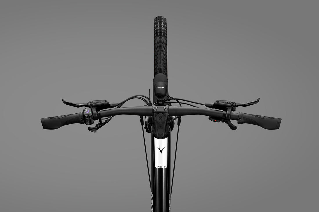 RHeO 3  Bosch eCity and leisure bike